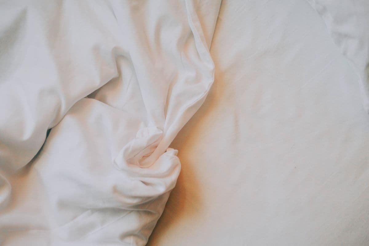 What bed bugs look like