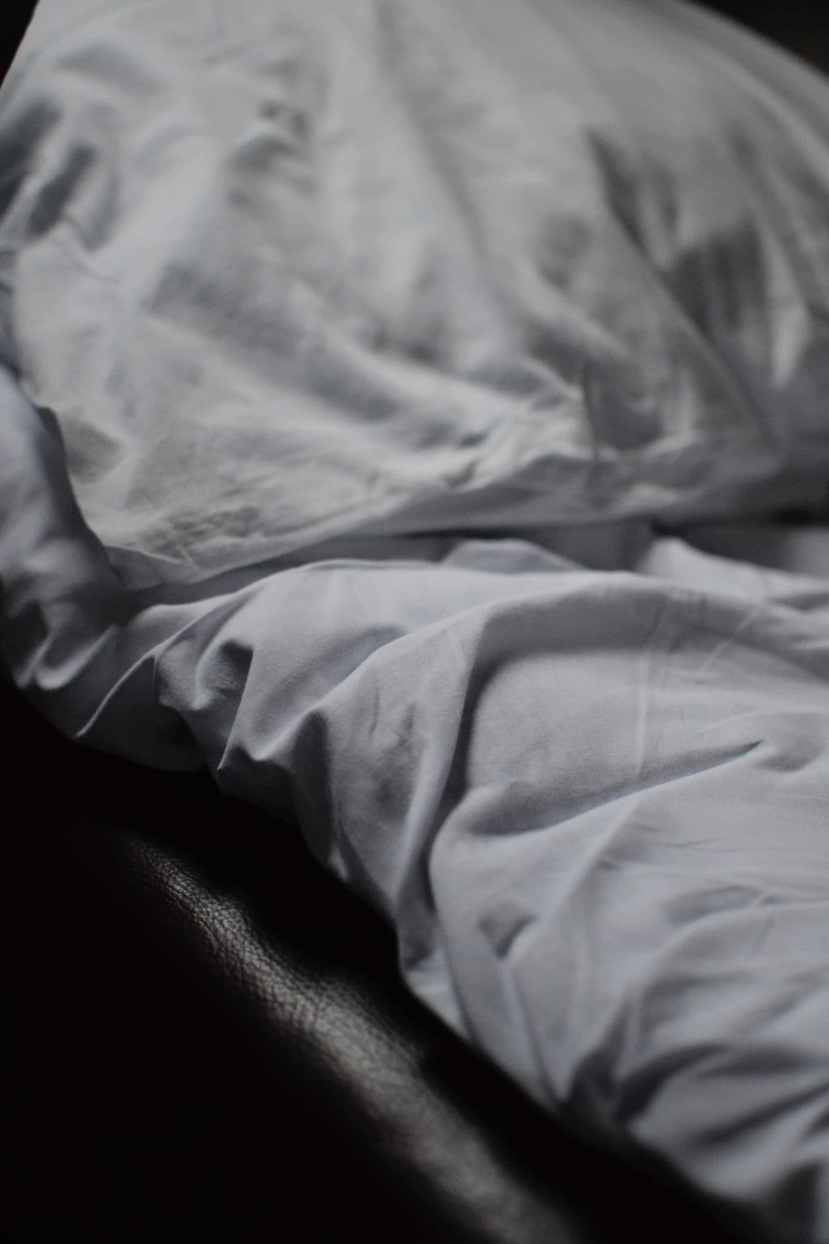 Preventing bed bugs in a holiday let