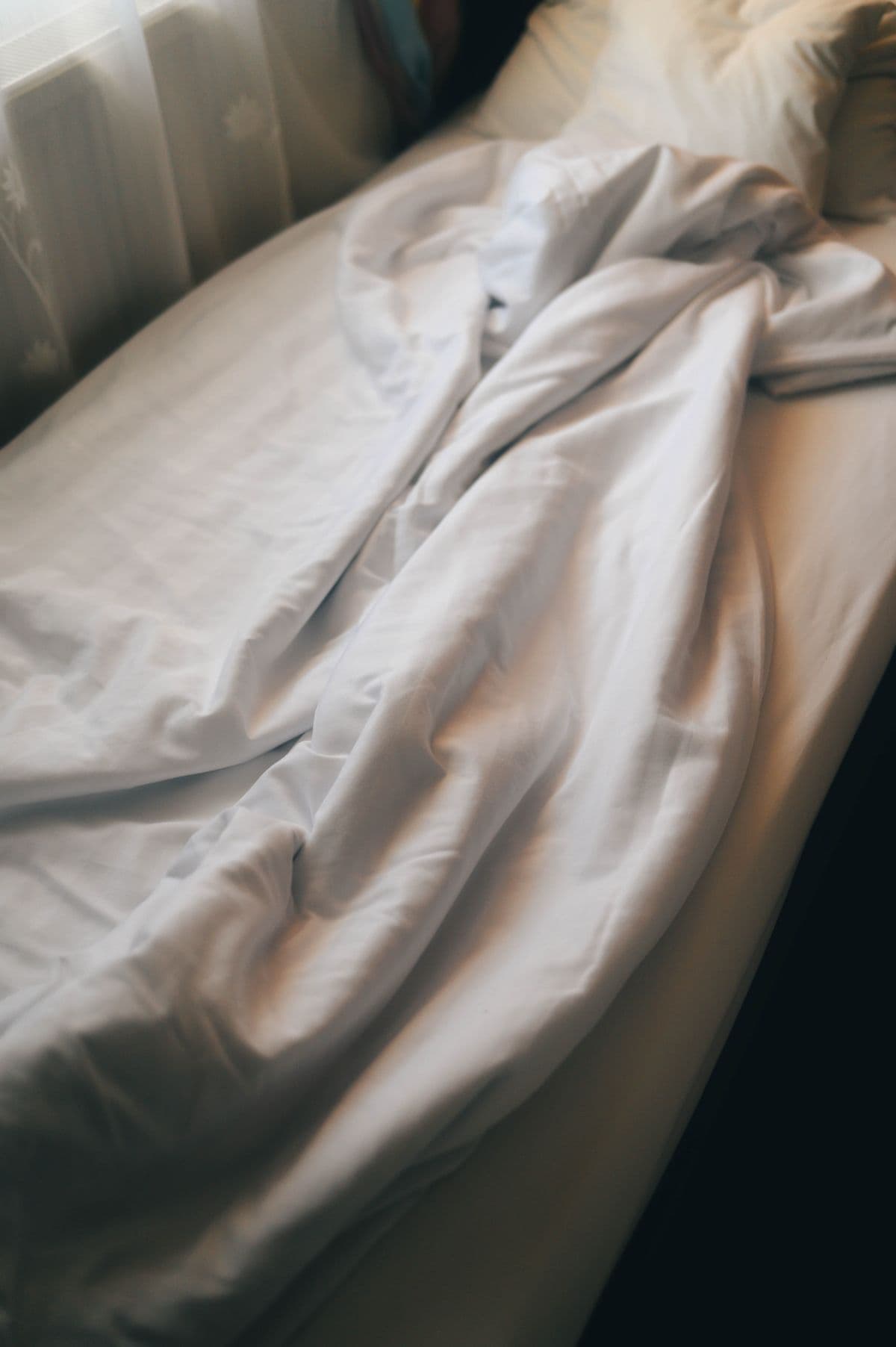 Bed bugs in holiday lets: how to check before guests arrive